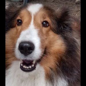 Meet your Posher, Abbie